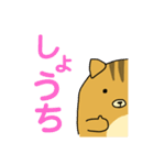 りすのたけち（個別スタンプ：1）