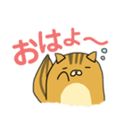 りすのたけち（個別スタンプ：3）