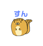 りすのたけち（個別スタンプ：5）
