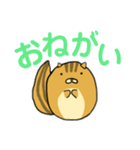 りすのたけち（個別スタンプ：9）