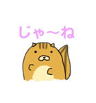 りすのたけち（個別スタンプ：13）