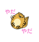りすのたけち（個別スタンプ：14）