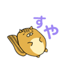 りすのたけち（個別スタンプ：17）
