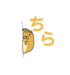 りすのたけち（個別スタンプ：19）
