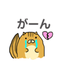 りすのたけち（個別スタンプ：24）