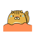 りすのたけち（個別スタンプ：25）