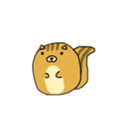 りすのたけち（個別スタンプ：27）