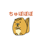 りすのたけち（個別スタンプ：29）