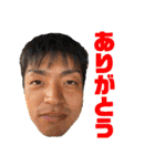 TeamMOTOの愉快な仲間たち（個別スタンプ：8）