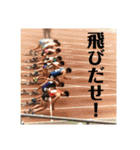 TeamMOTOの愉快な仲間たち（個別スタンプ：34）