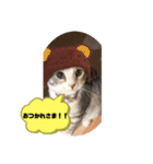 蘭丸まる5（個別スタンプ：2）