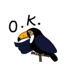 日常使いの動物家族2（個別スタンプ：9）