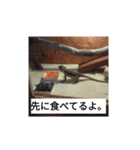hathu-rui stanpu（個別スタンプ：2）