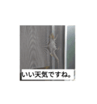 hathu-rui stanpu（個別スタンプ：3）