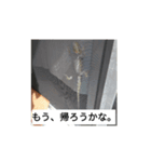 hathu-rui stanpu（個別スタンプ：4）