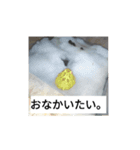 hathu-rui stanpu（個別スタンプ：8）