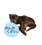 ones...（個別スタンプ：4）