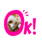うさココ（個別スタンプ：2）
