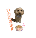 MaroKuri（個別スタンプ：6）