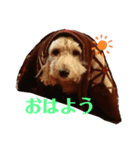 MaroKuri（個別スタンプ：7）