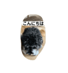 ソララサン（個別スタンプ：3）