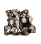 ソララサン（個別スタンプ：4）