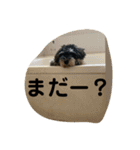 ソララサン（個別スタンプ：8）