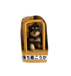 ソララサン（個別スタンプ：12）