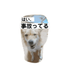 ソララサン（個別スタンプ：13）