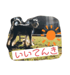 ソララサン（個別スタンプ：16）
