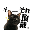 黒猫 KEYちゃん6（個別スタンプ：1）