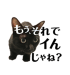 黒猫 KEYちゃん6（個別スタンプ：2）