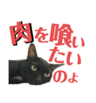 黒猫 KEYちゃん6（個別スタンプ：5）