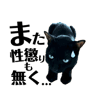 黒猫 KEYちゃん6（個別スタンプ：6）