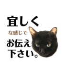 黒猫 KEYちゃん6（個別スタンプ：8）