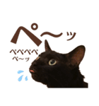 黒猫 KEYちゃん6（個別スタンプ：10）