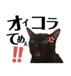 黒猫 KEYちゃん6（個別スタンプ：12）
