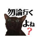 黒猫 KEYちゃん6（個別スタンプ：13）