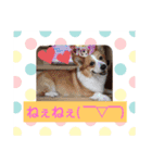 黒崎雨流斗と愛犬(その他)パート2（個別スタンプ：9）
