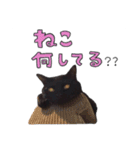 黒猫のぽんちゃん（個別スタンプ：4）