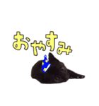 黒猫のぽんちゃん（個別スタンプ：14）