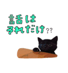 黒猫のぽんちゃん（個別スタンプ：17）