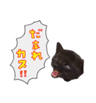 黒猫のぽんちゃん（個別スタンプ：19）