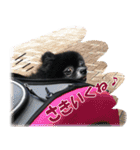 黒ポメ《恋音》のつぶやき vol.3（個別スタンプ：12）