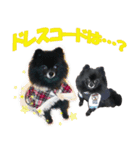 黒ポメ《恋音》のつぶやき vol.3（個別スタンプ：14）