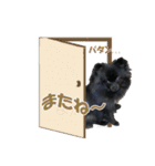 黒ポメ《恋音》のつぶやき vol.3（個別スタンプ：15）