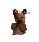 うちのわんちゃん 愛犬さくら（個別スタンプ：7）