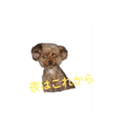 うちのわんちゃん 愛犬さくら（個別スタンプ：10）