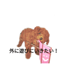 うちのわんちゃん 愛犬さくら（個別スタンプ：14）