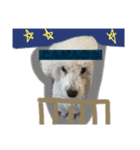 マルオ cute dog（個別スタンプ：4）